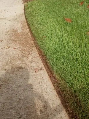 J&M's Down to Earth Lawn Care Logo