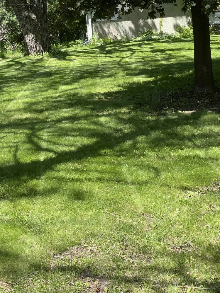 Custom yard maintenance in Bloomington, MN - J&M’s Fencing