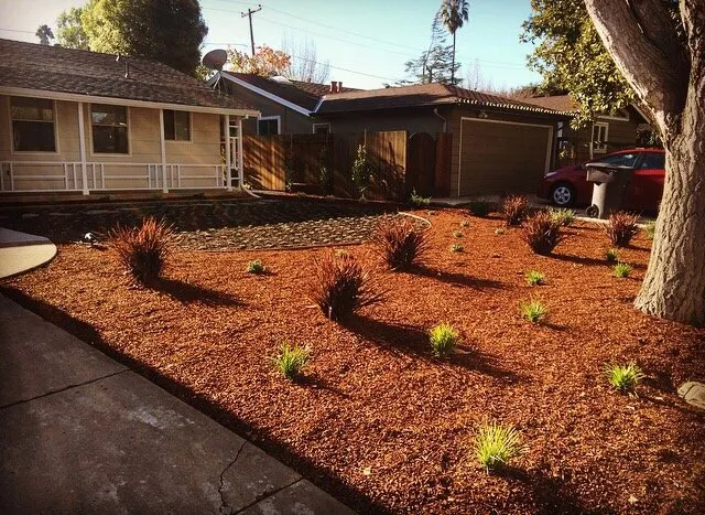Expert lawn care service for homes in Menlo Park, CA by JMS Green Works