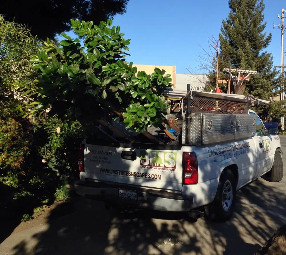 Trusted garden landscaping in Menlo Park, CA by JMS Green Works
