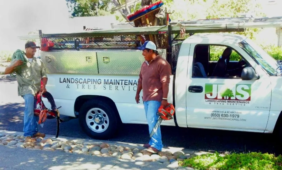 Expert yard cleanup service for residential properties in Menlo Park, CA by JMS Green Works