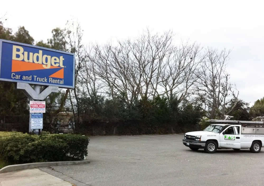 Reliable yard cleanup service in Menlo Park, CA - JMS Green Works