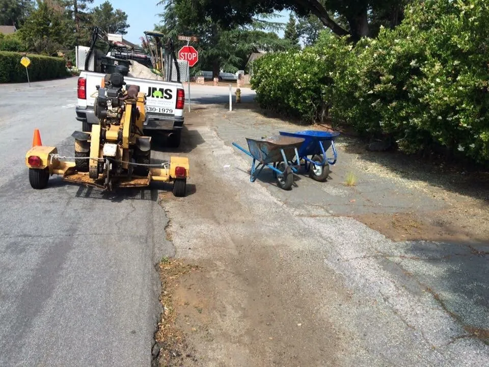 Affordable landscape design for outdoor upgrades in Menlo Park, CA by JMS Green Works