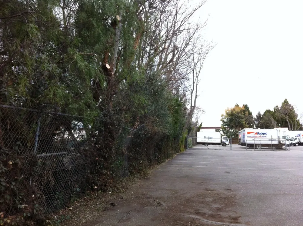 Top-rated garden landscaping experts serving Menlo Park, CA - JMS Green Works