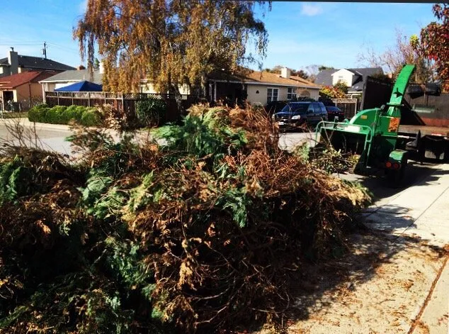 Local lawn care service experts serving Menlo Park, CA - JMS Green Works