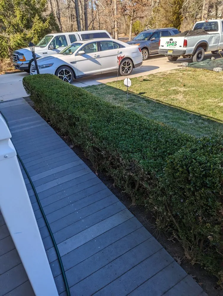 Custom yard cleanup service in Menlo Park, CA - JMS Green Works