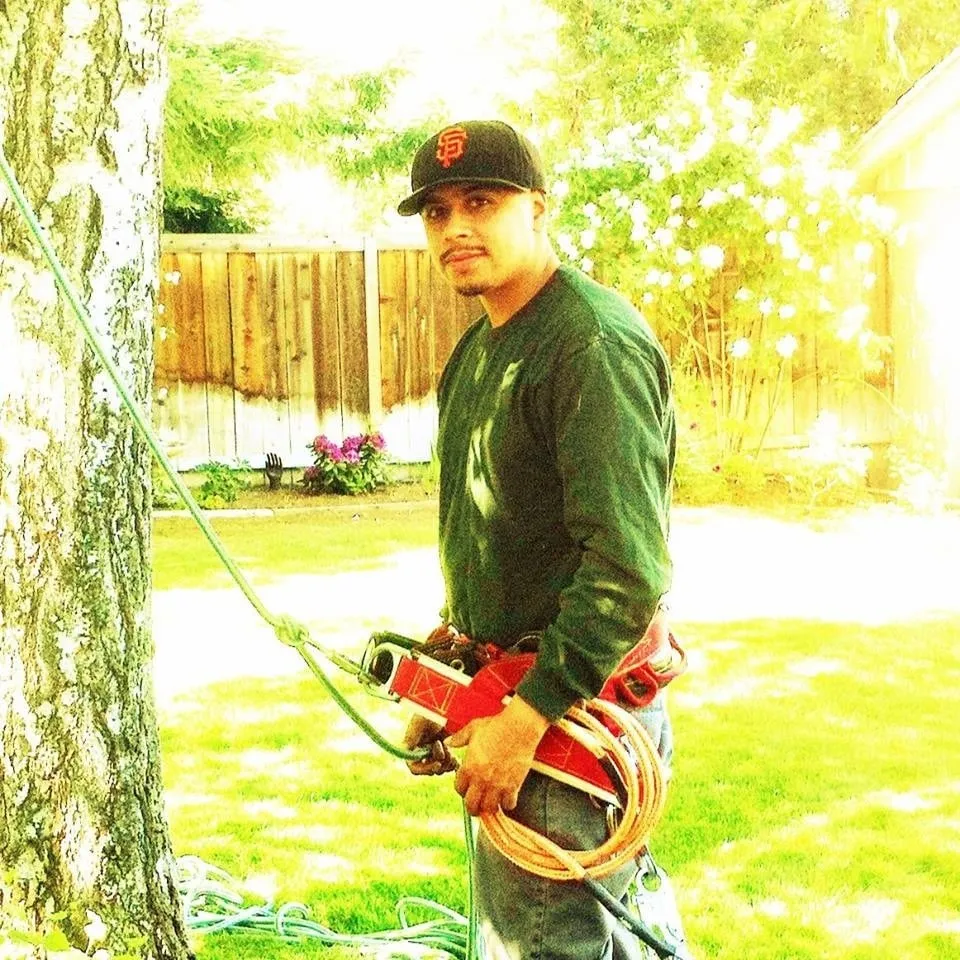 Affordable yard cleanup service near you across Menlo Park, CA - JMS Green Works