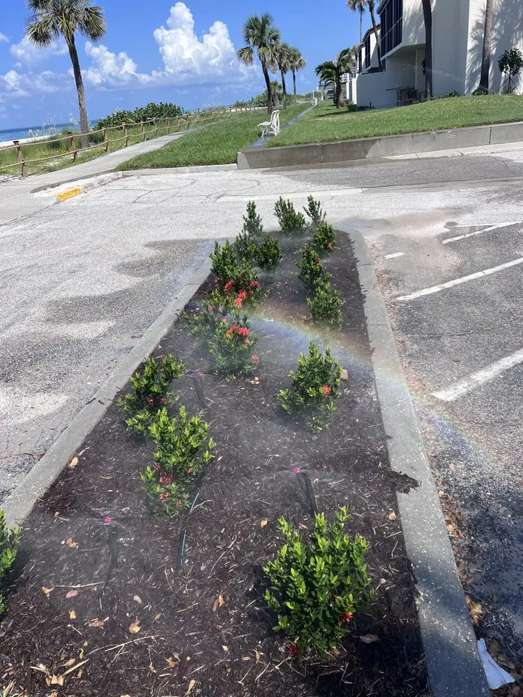 Trusted yard cleanup service experts serving Palmetto, FL - JMS Irrigation & Lighting