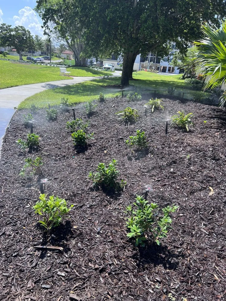 Professional garden landscaping in Palmetto, FL by JMS Irrigation & Lighting