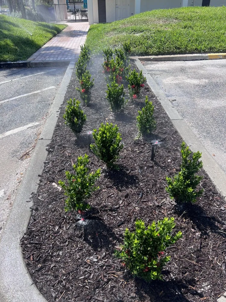 Custom landscaping services in Palmetto, FL - JMS Irrigation & Lighting