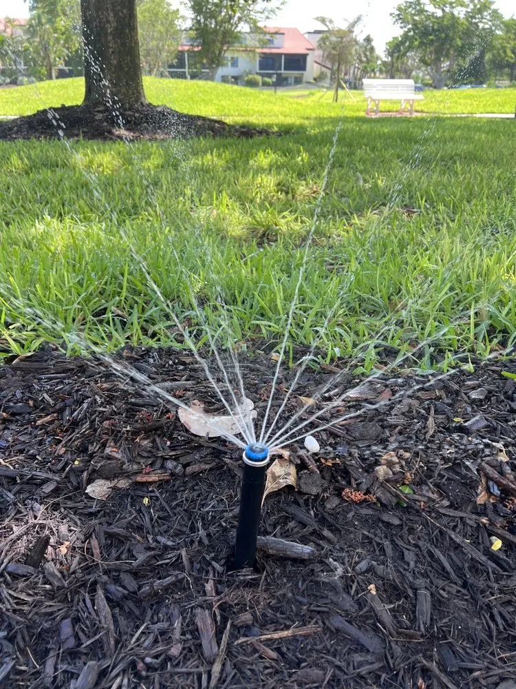 Professional lawn mowing service for beautiful yards in Palmetto, FL by JMS Irrigation & Lighting