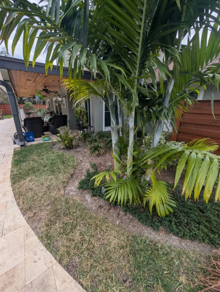 Reliable yard cleanup service for homes in Winter Springs, FL by JMS Landscapes & Services