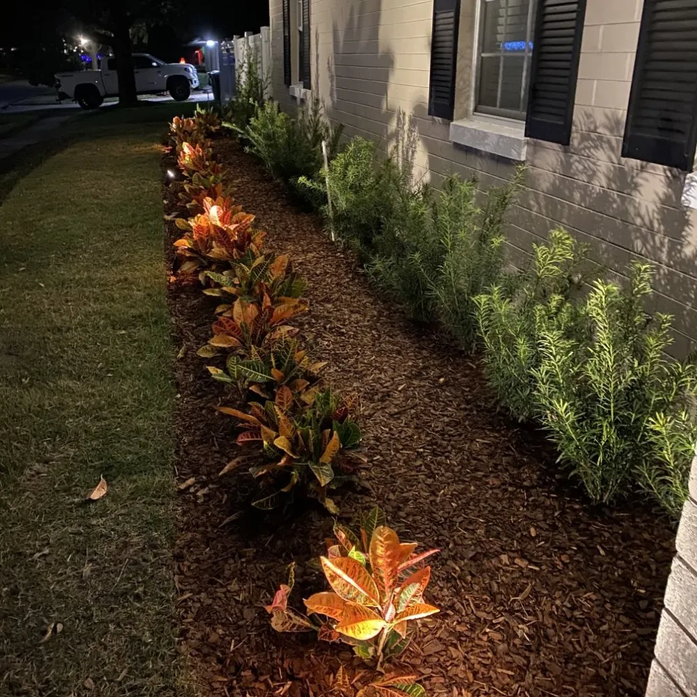 Professional yard cleanup service in Winter Springs, FL - JMS Landscapes & Services