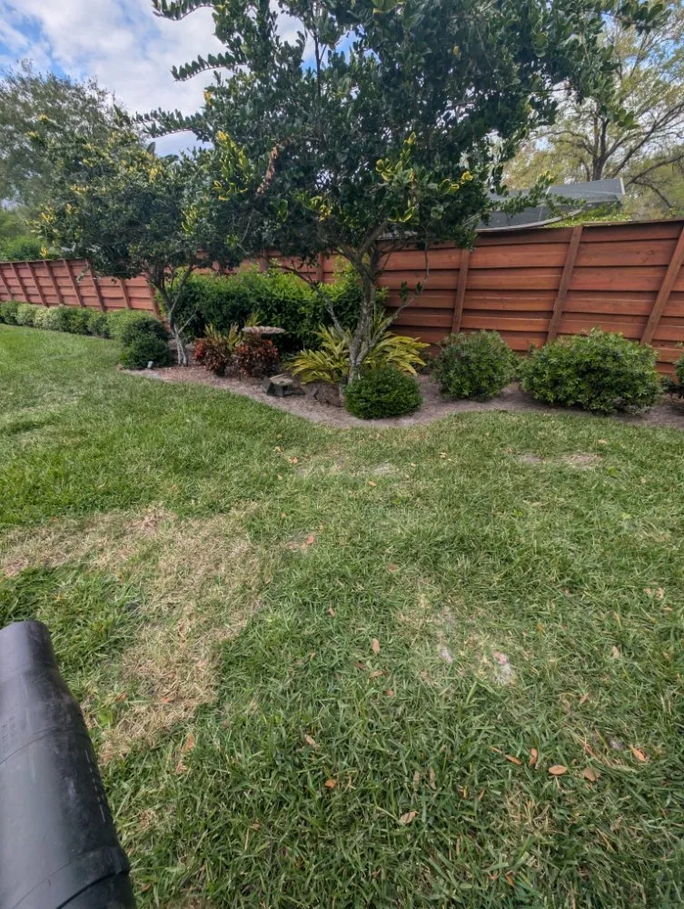 Professional outdoor landscaping in Winter Springs, FL by JMS Landscapes & Services