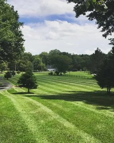 Top-rated landscape installation in Whitehouse, OH - JMS Property Management