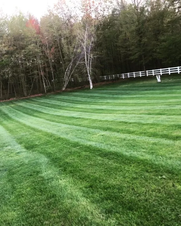 Top-rated outdoor landscaping with custom design across Whitehouse, OH - JMS Property Management