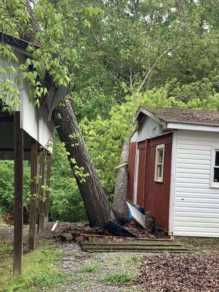 Expert yard cleanup service experts serving Cartersvlle, GA - J.M.S. Tree Removal