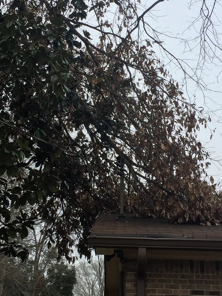 Local garden landscaping for homes across Cartersvlle, GA - J.M.S. Tree Removal