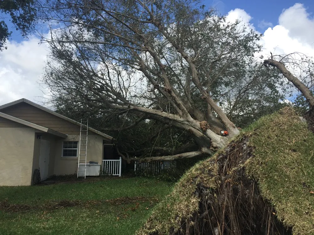 Affordable outdoor landscaping in Cartersvlle, GA - J.M.S. Tree Removal