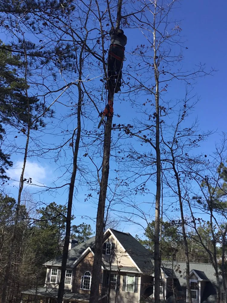 Local landscape design experts serving Cartersvlle, GA - J.M.S. Tree Removal