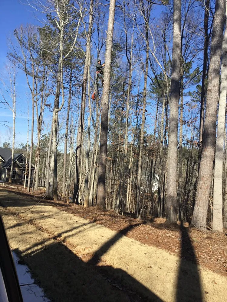 Reliable lawn care service in Cartersvlle, GA by J.M.S. Tree Removal