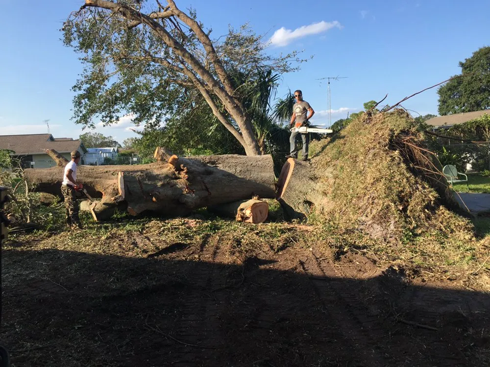Top-rated garden landscaping for residential properties in Cartersvlle, GA by J.M.S. Tree Removal
