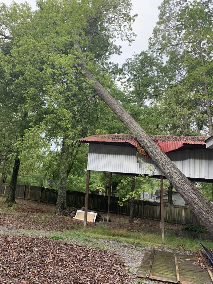 Professional garden landscaping in Cartersvlle, GA by J.M.S. Tree Removal