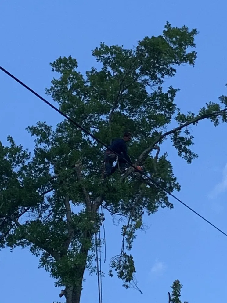 Local lawn care service with custom design in Cartersvlle, GA by J.M.S. Tree Removal