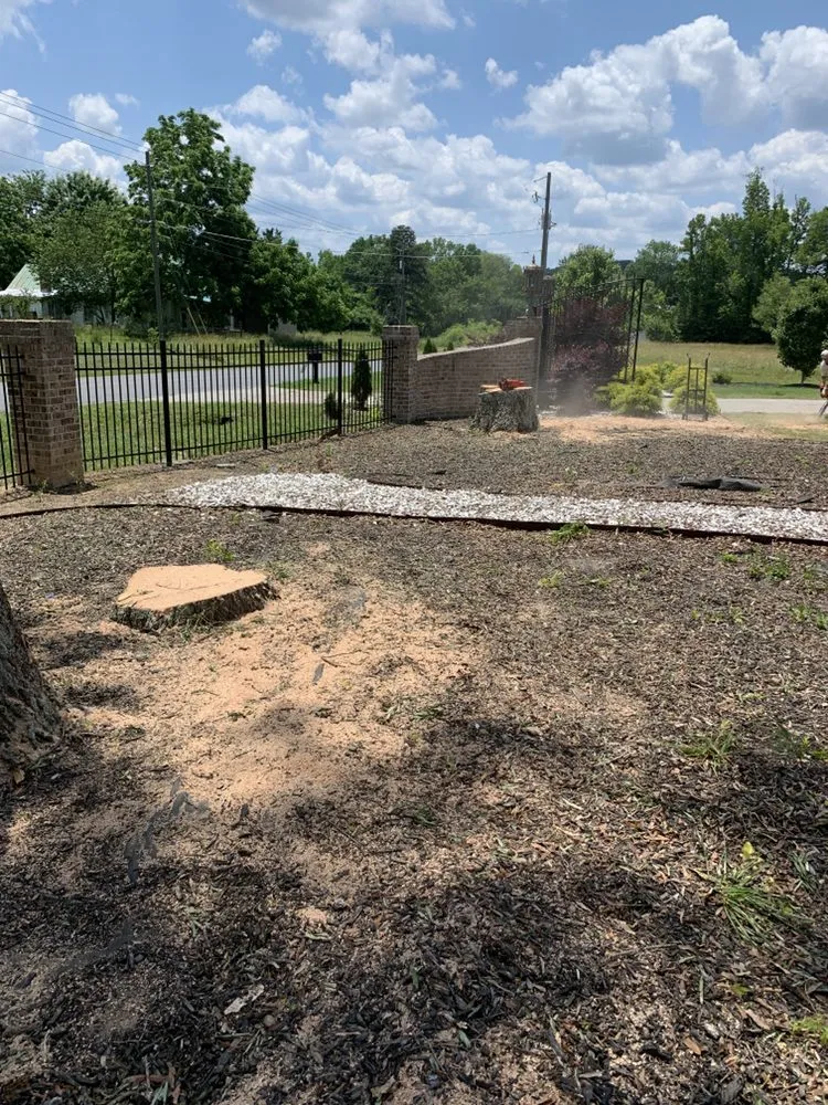 Top-rated outdoor landscaping in Cartersvlle, GA by J.M.S. Tree Removal