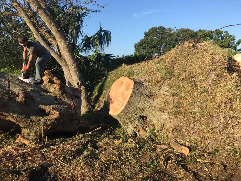 Trusted landscape design in Cartersvlle, GA - J.M.S. Tree Removal