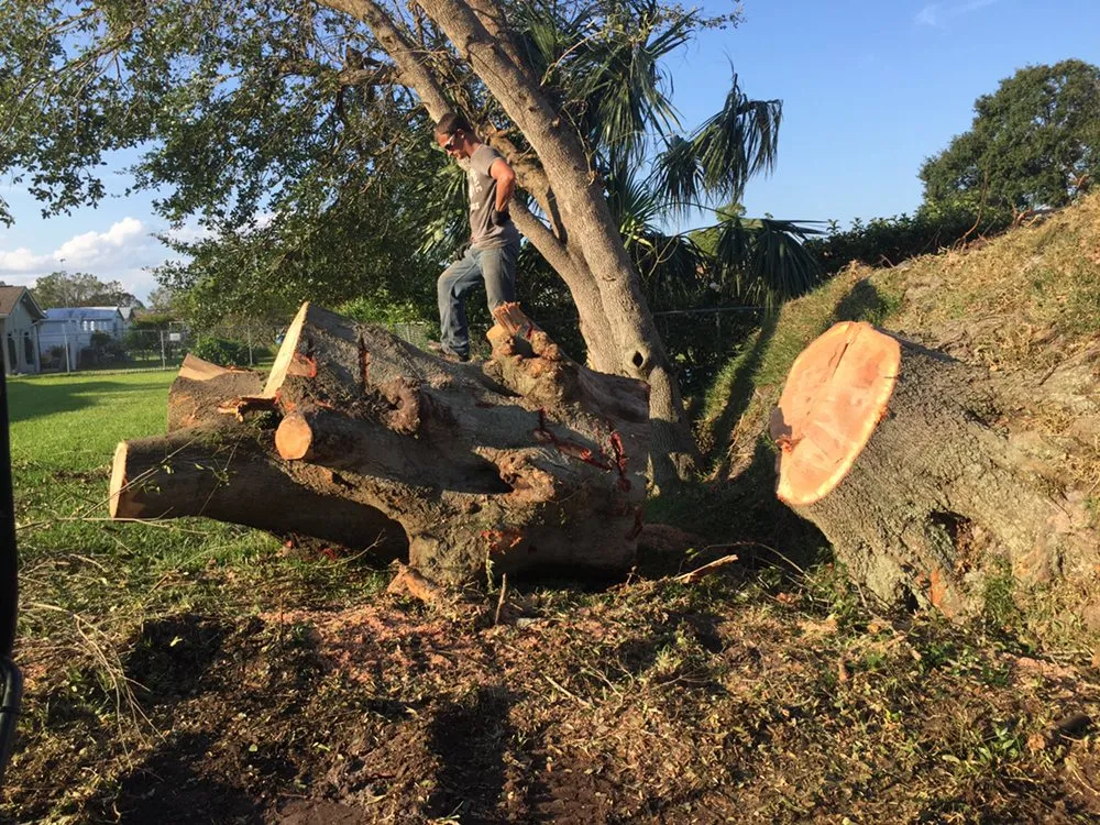 Trusted lawn mowing service with custom design across Cartersvlle, GA - J.M.S. Tree Removal