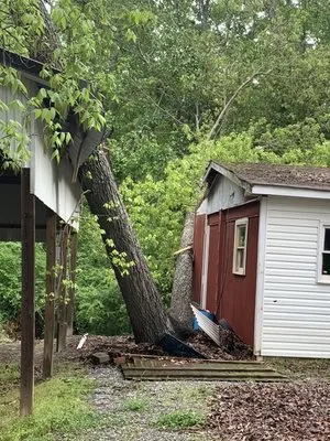 J.M.S. Tree Removal