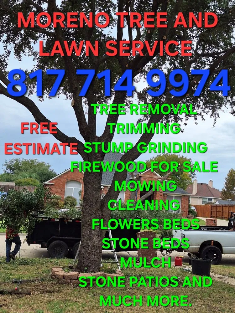 Trusted landscape installation in Mansfield, TX - JMS Tree Service