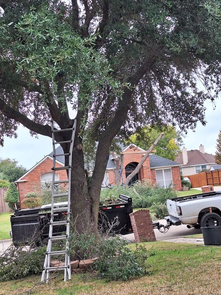 Top-rated garden landscaping for outdoor upgrades across Mansfield, TX - JMS Tree Service