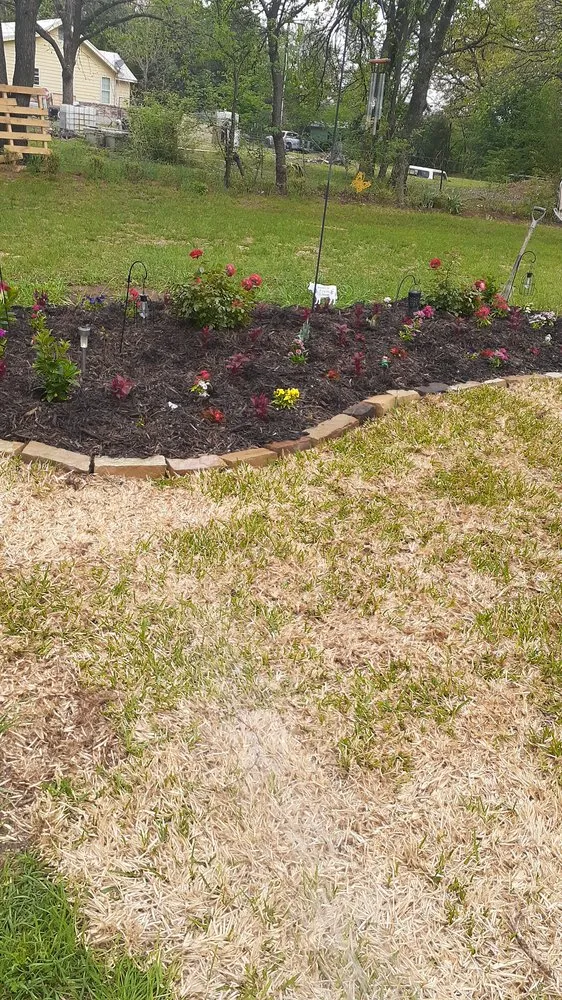 Local lawn mowing service experts serving Mansfield, TX - JMS Tree Service