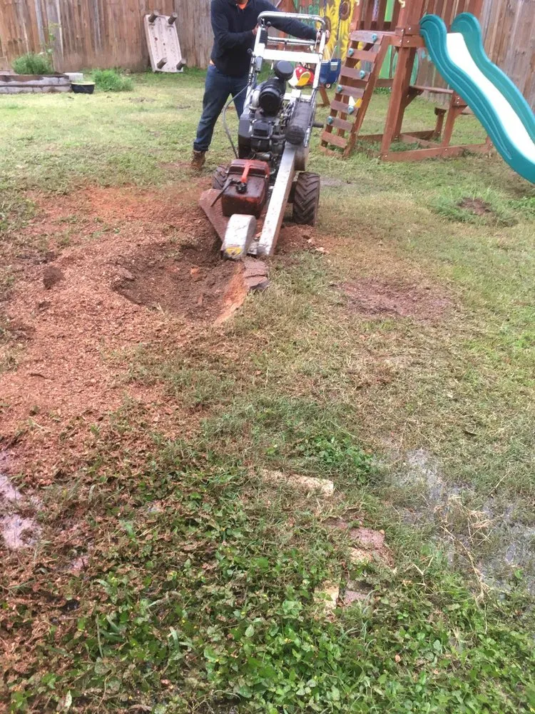 Trusted landscape design for residential properties in Mansfield, TX by JMS Tree Service