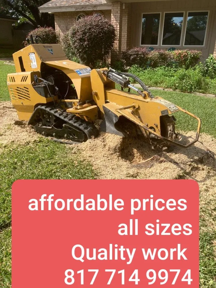 Trusted landscape design for residential properties in Mansfield, TX by JMS Tree Service