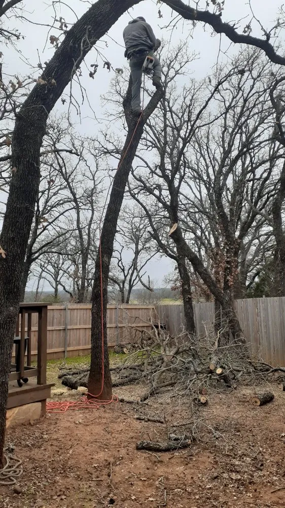 Trusted landscape design in Mansfield, TX by JMS Tree Service