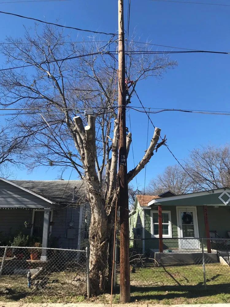 Trusted lawn care service for year-round maintenance in Mansfield, TX by JMS Tree Service