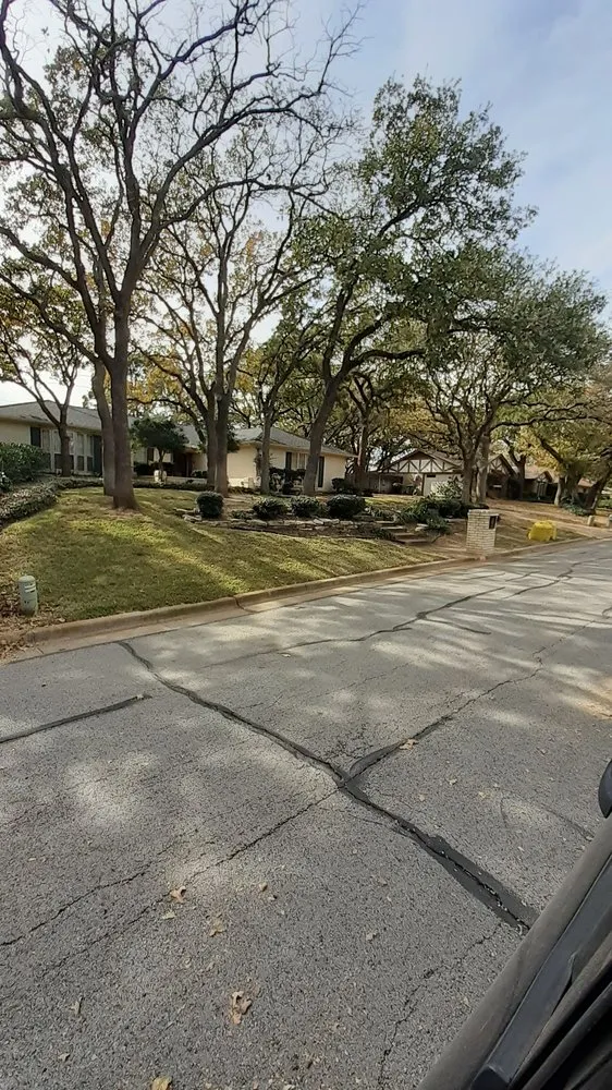 Expert lawn care service near you across Mansfield, TX - JMS Tree Service