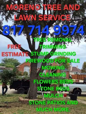 JMS Tree Service Logo