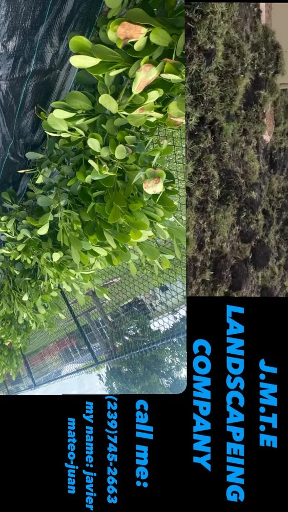 Professional landscaping services in Tice, FL - JMTE Landscaping