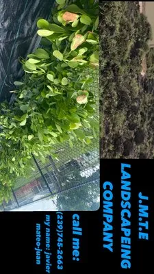 JMTE Landscaping
