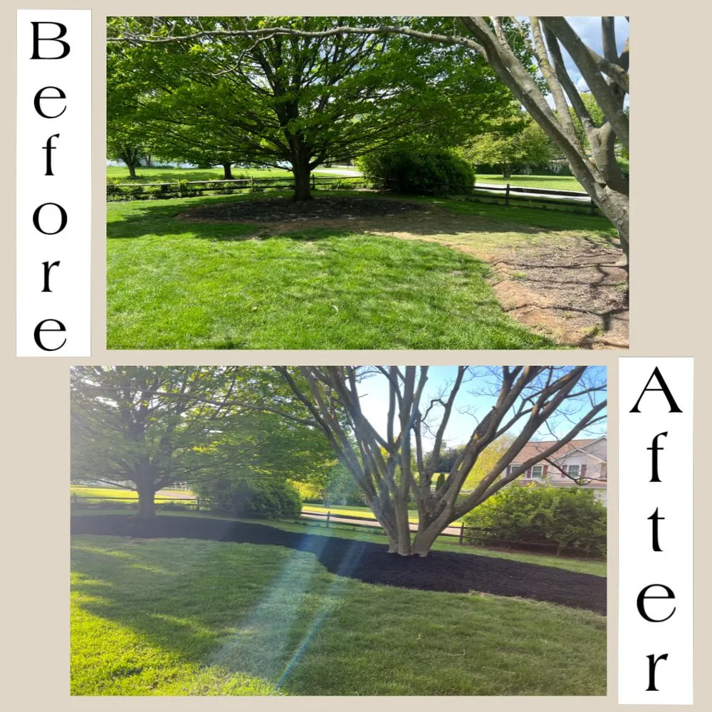 Affordable yard cleanup service in Westminster, MD - JMV Lawn Care