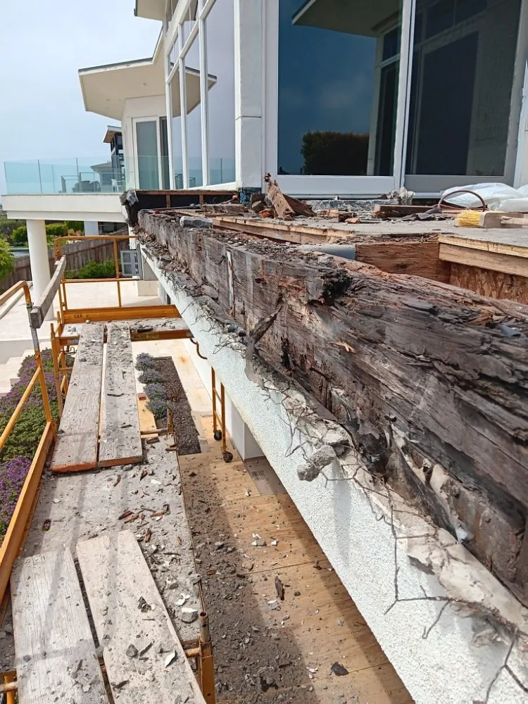 Reliable yard maintenance experts serving Escondido, CA - JMV Quality Landscape