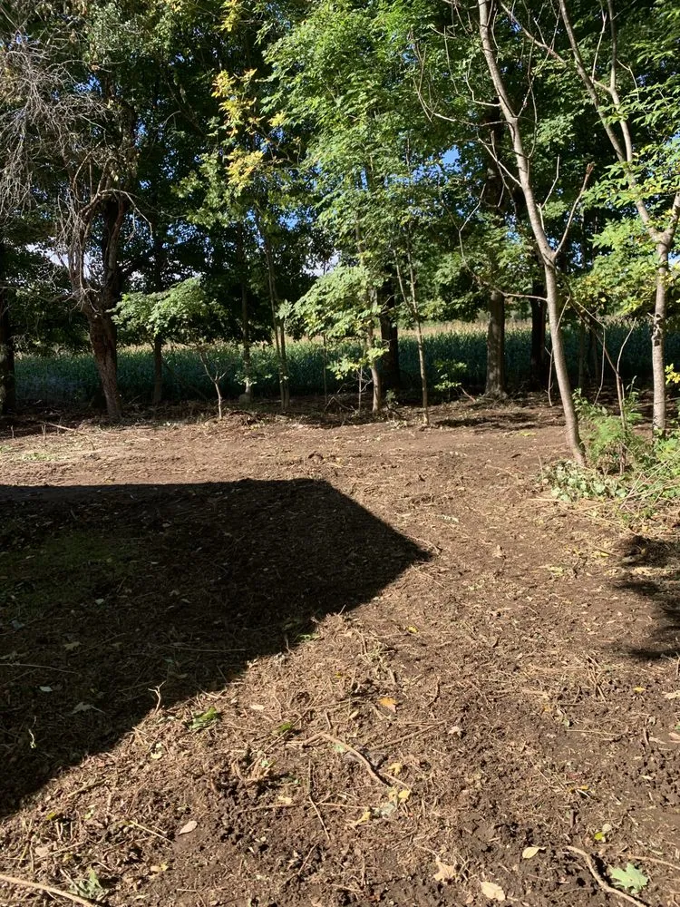 Affordable garden landscaping experts serving Altamont, NY - JMW Land Management