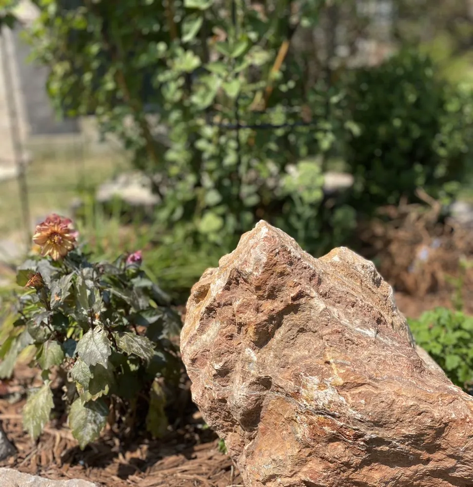 Trusted yard maintenance experts serving Littleton, CO - JMYLandscaping