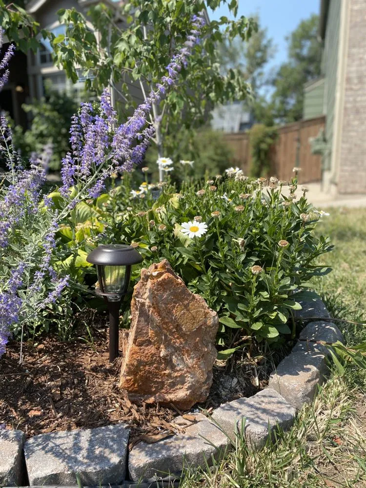 Trusted residential landscaping in Littleton, CO by JMYLandscaping