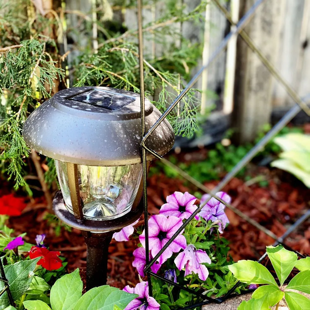 Professional lawn mowing service in Littleton, CO by JMYLandscaping