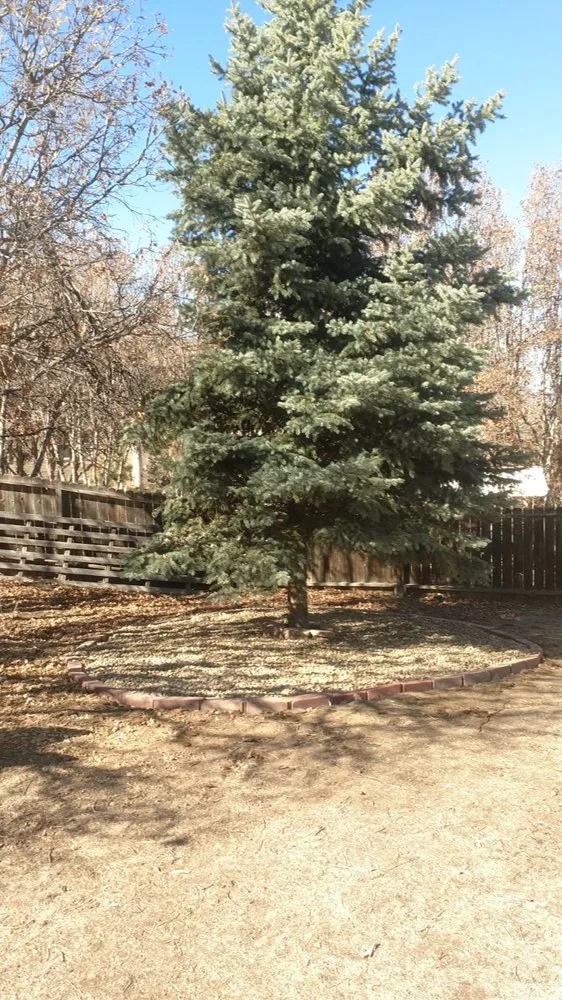 Reliable yard maintenance for homes across Littleton, CO - JMYLandscaping